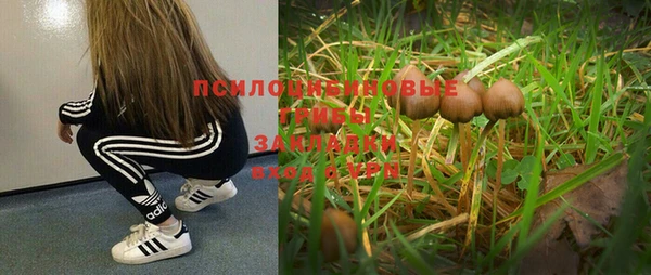 герыч Алзамай
