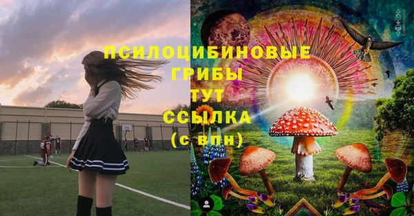 герыч Алзамай