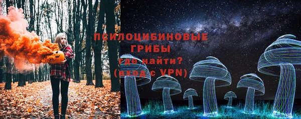 ГАЛЛЮЦИНОГЕННЫЕ ГРИБЫ Михайловка