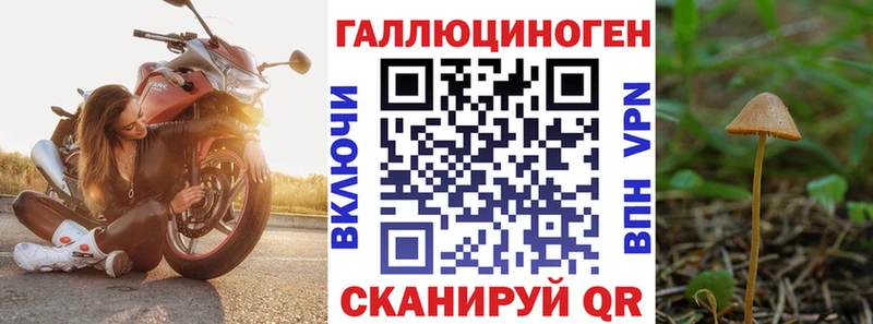 mega ТОР Махачкала Псилоцибиновые грибы Psilocybe