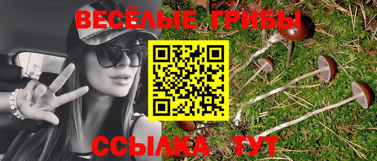Галлюциногенные грибы Cubensis  Вход с VPN  Махачкала  Псилоцибиновые грибы Psilocybe 